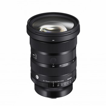 SIGMA 24-70/2.8 DG DN ART II