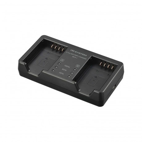 CHARGEUR BCX-1