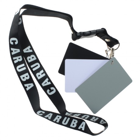 CARUBA CARTE GRISE CALIBRATION DGC2