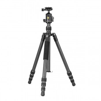 VANGUARD TREPIED VESTAGO 234AB