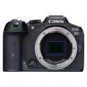 CANON EOS R7